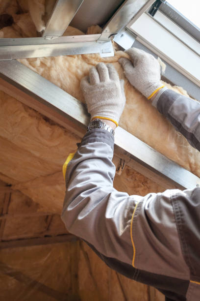 Best Commercial Insulation in Santa Rosa, TX