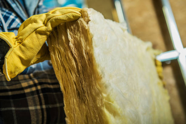 Best Residential Insulation in Santa Rosa, TX